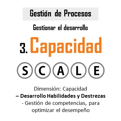 Dimensión Capacidad - Habilidades